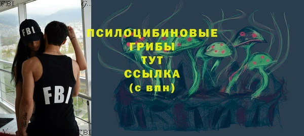 сатива Богородицк