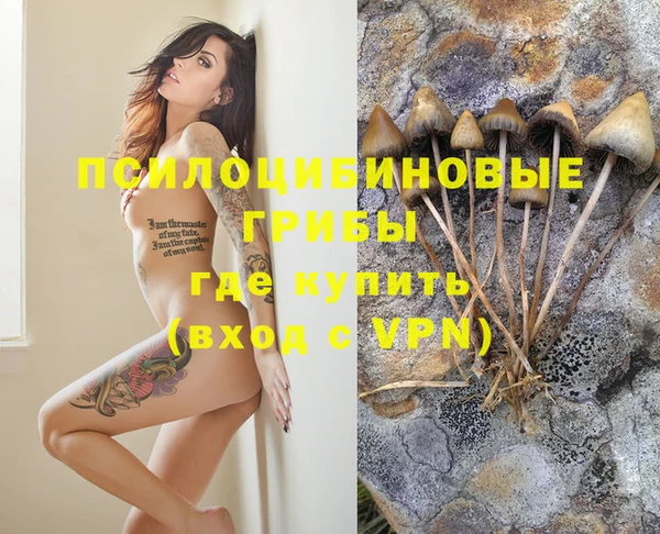 сатива Богородицк