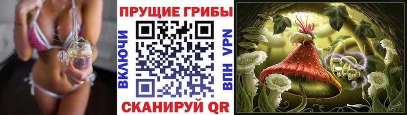 Псилоцибиновые грибы Psilocybine cubensis Сковородино